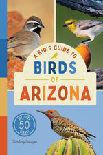 A Kid’s Guide to Birds of Arizona