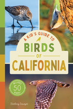 A Kid’s Guide to Birds of California