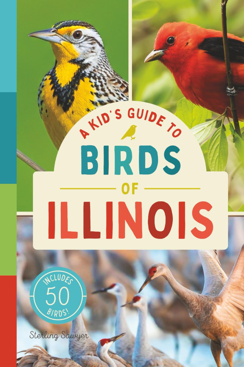 A Kid’s Guide to Birds of Illinois