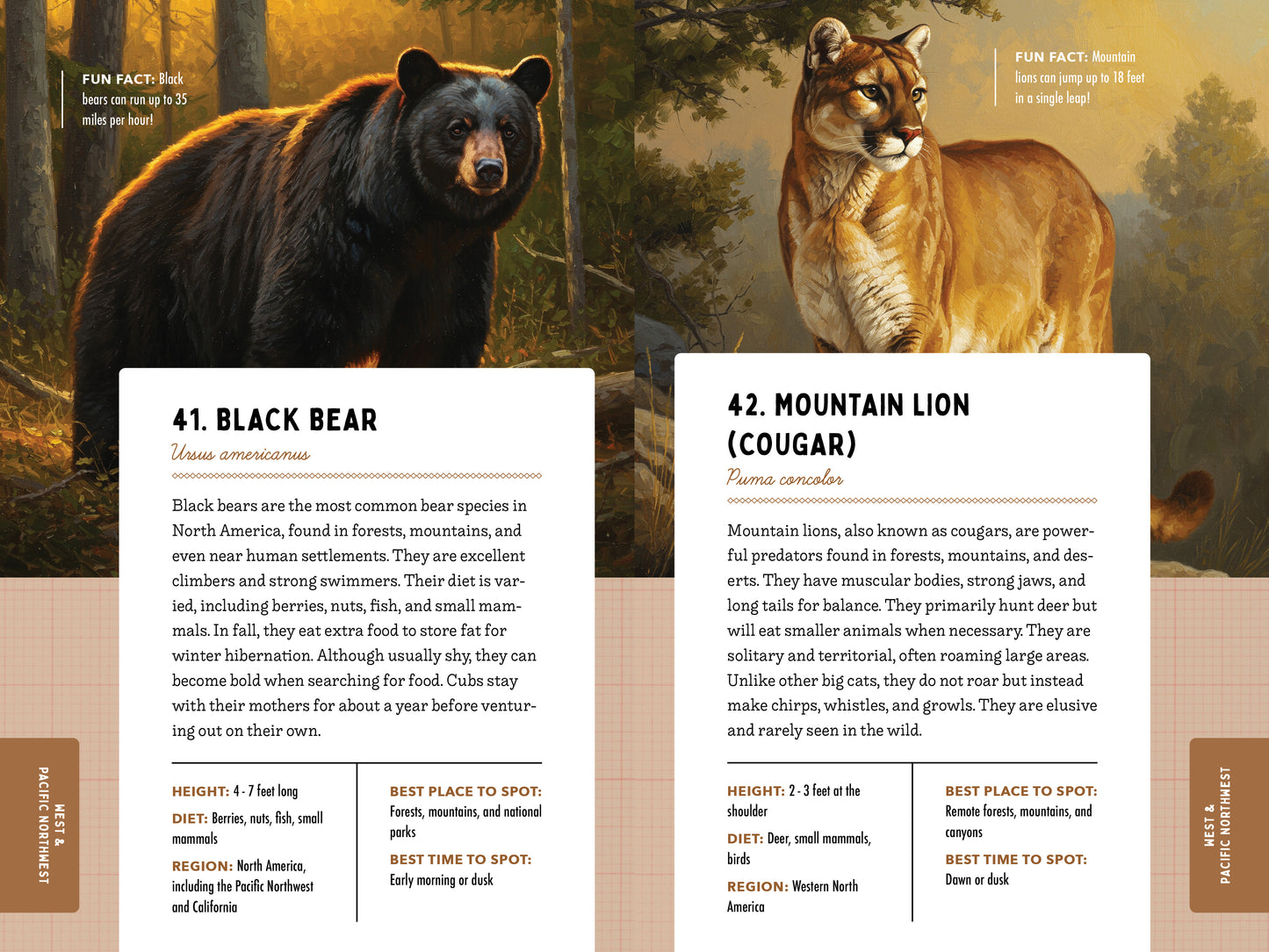 A Kid’s Guide to 50 Backyard Animals