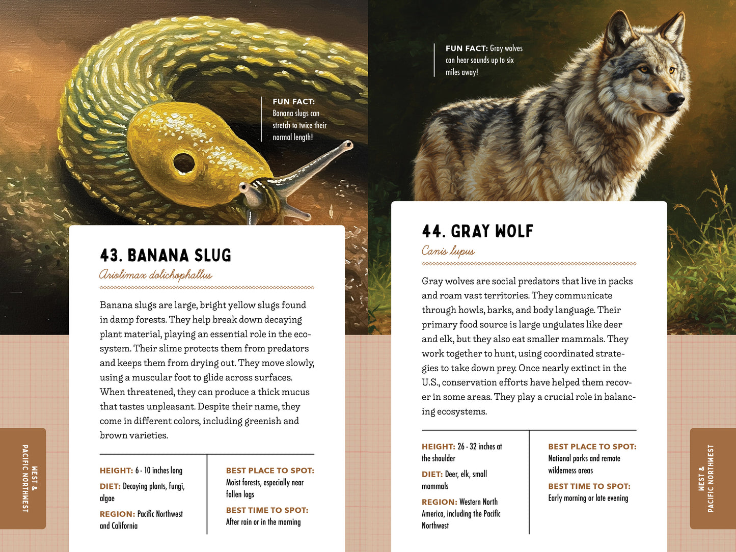 A Kid’s Guide to 50 Backyard Animals