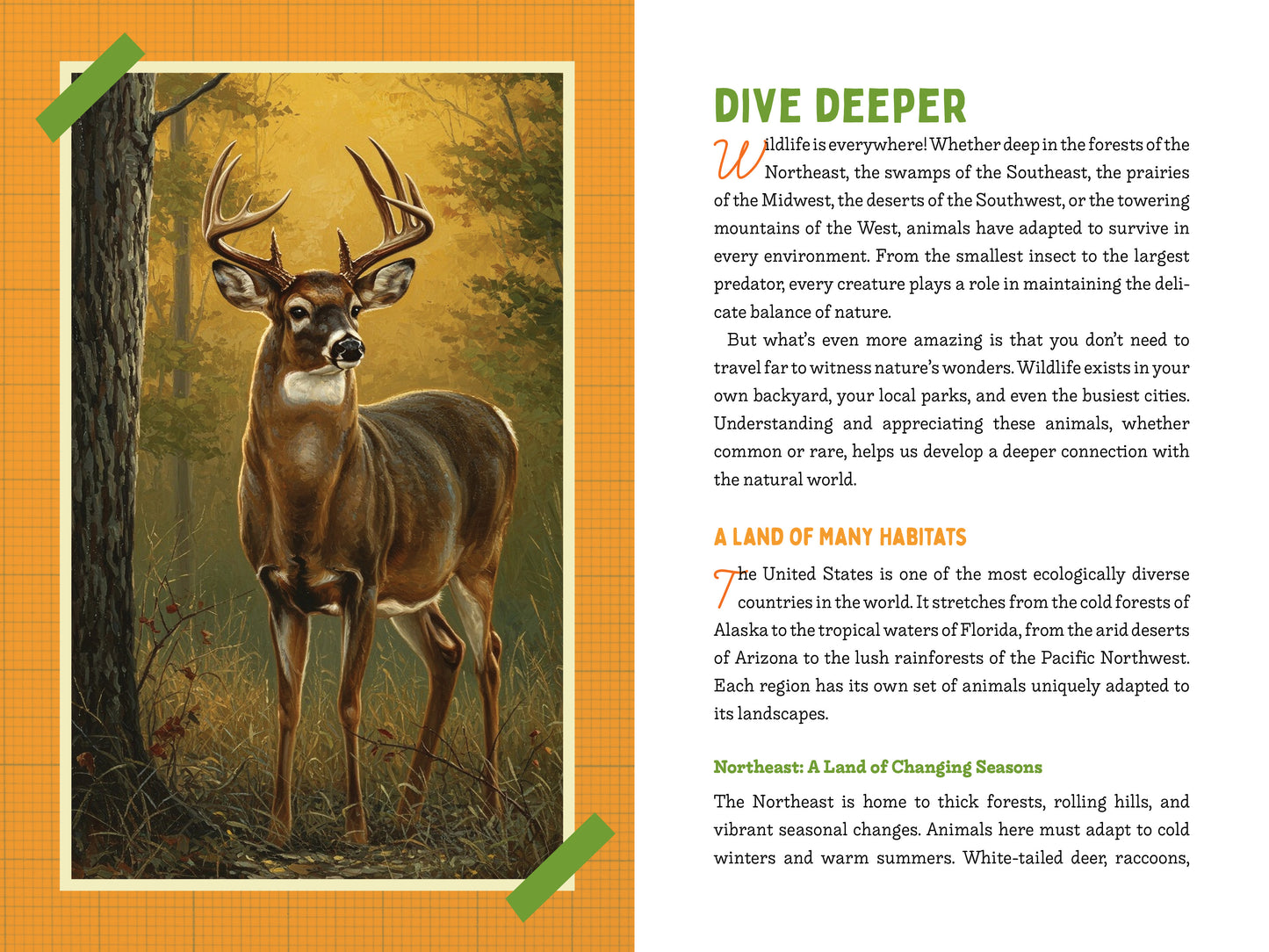 A Kid’s Guide to 50 Backyard Animals