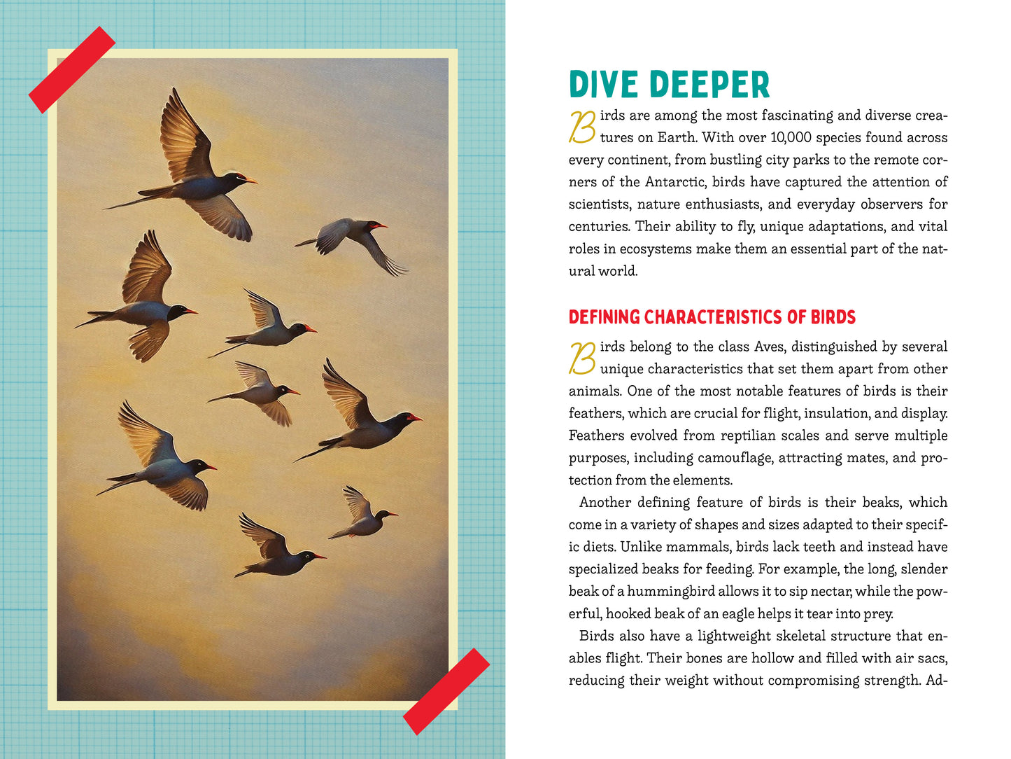 A Kid’s Guide to 50 Backyard Birds