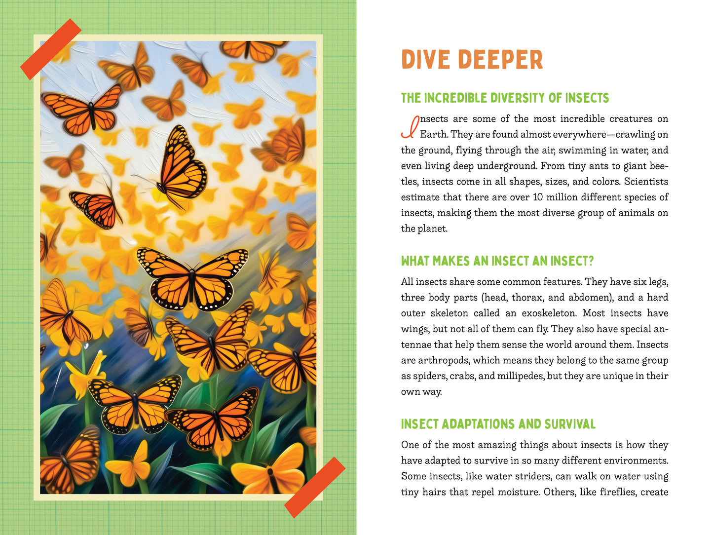 A Kid’s Guide to 50 Insects