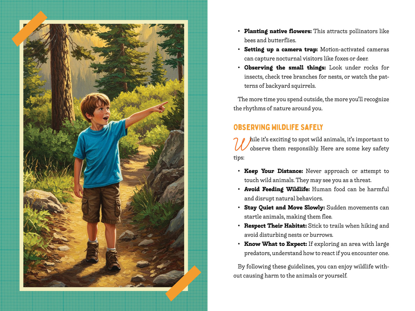 A Kid’s Guide to 50 Backyard Animals