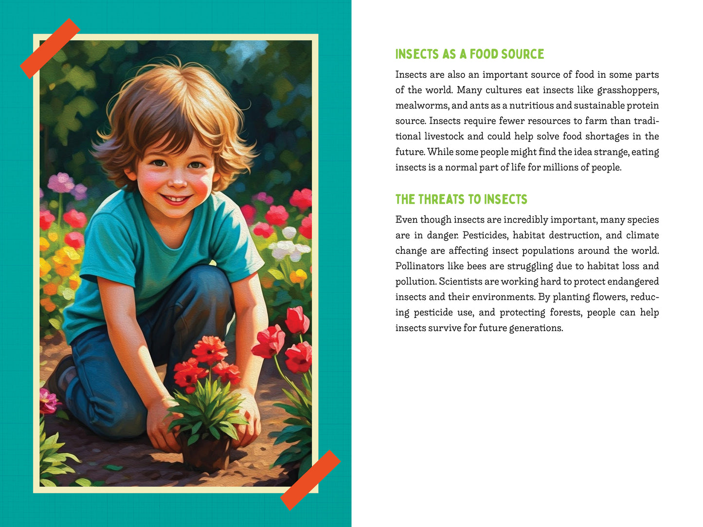 A Kid’s Guide to 50 Insects