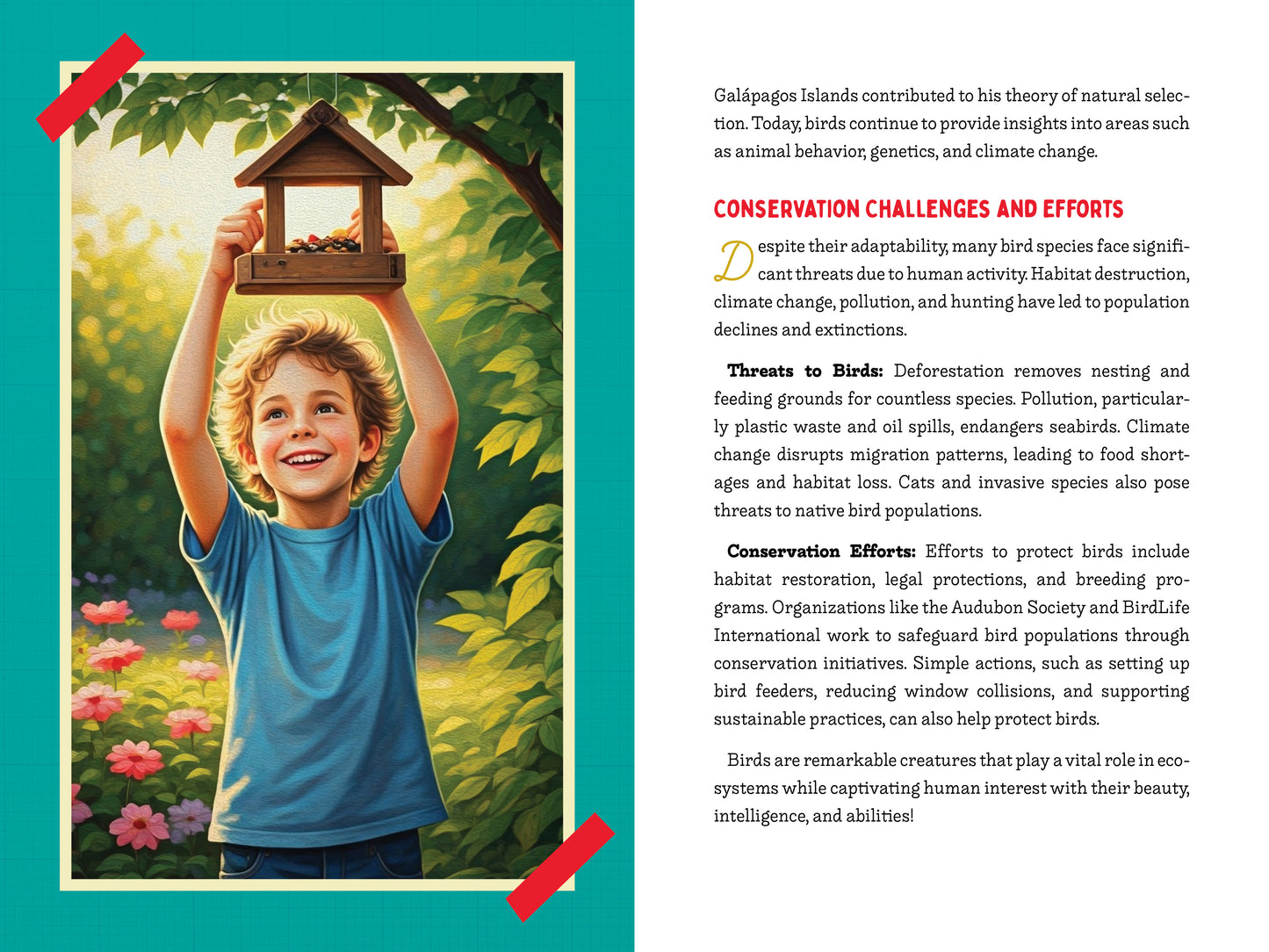 A Kid’s Guide to 50 Backyard Birds