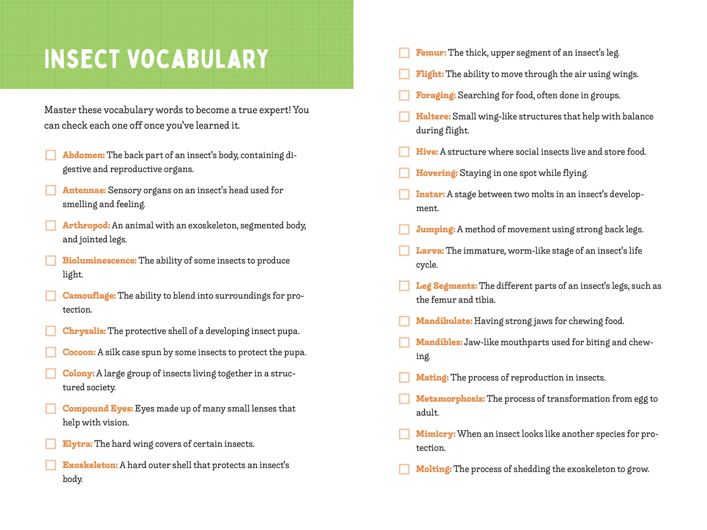 A Kid’s Guide to 50 Insects