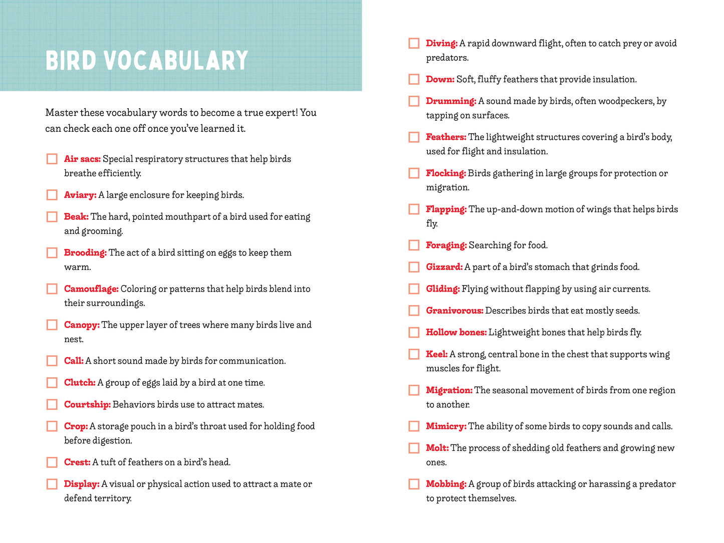 A Kid’s Guide to 50 Backyard Birds