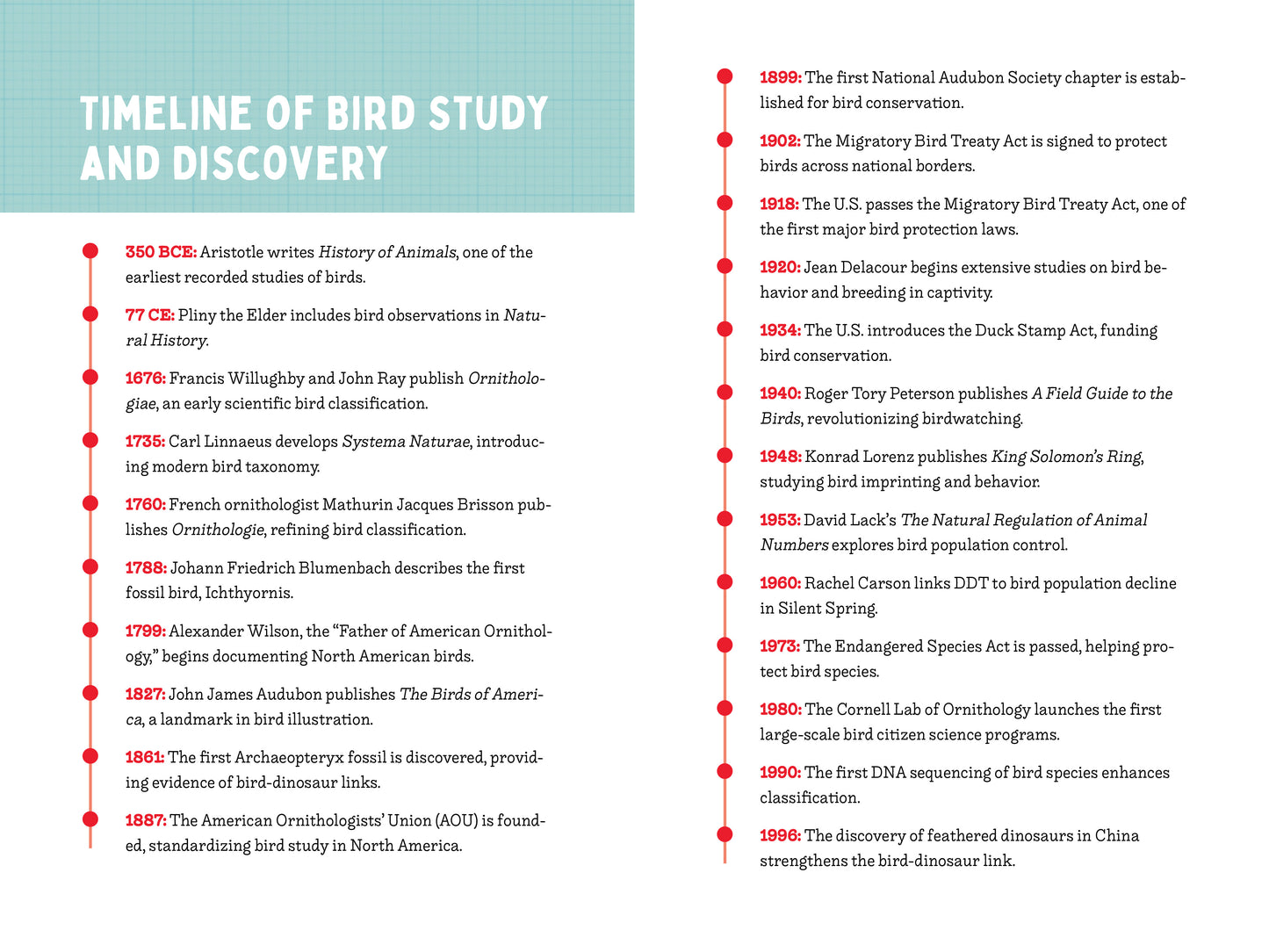 A Kid’s Guide to 50 Backyard Birds