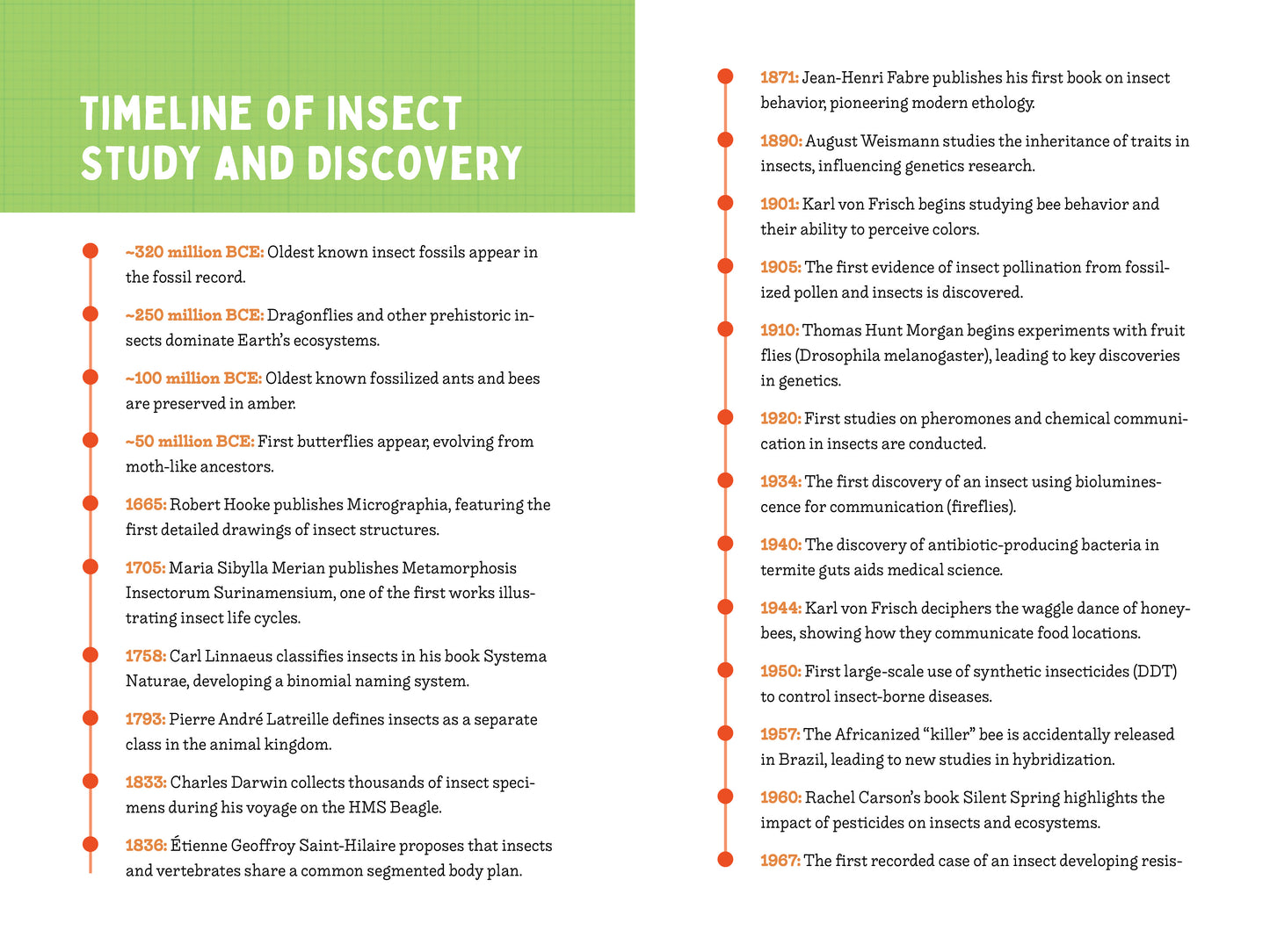 A Kid’s Guide to 50 Insects