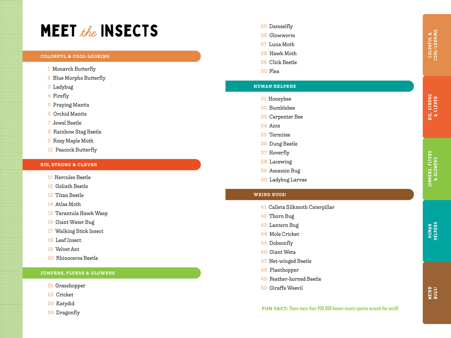 A Kid’s Guide to 50 Insects