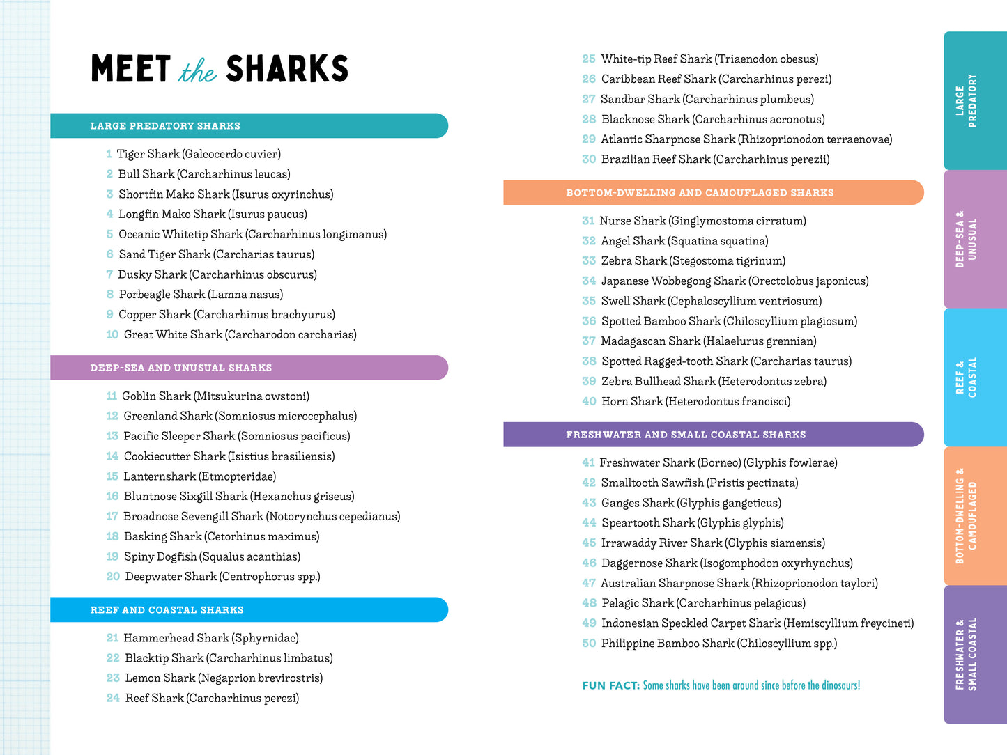 A Kid's Guide to 50 Sharks