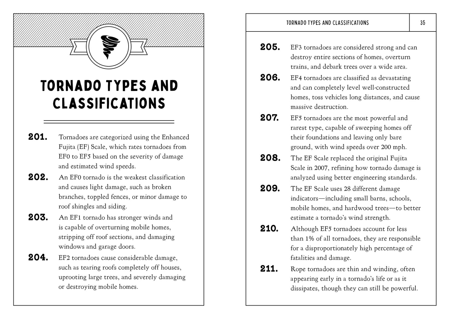 The Tornado Fact Book for Kids
