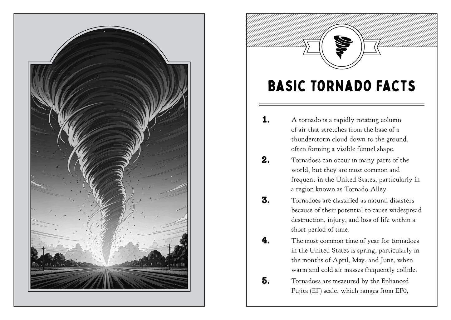 The Tornado Fact Book for Kids