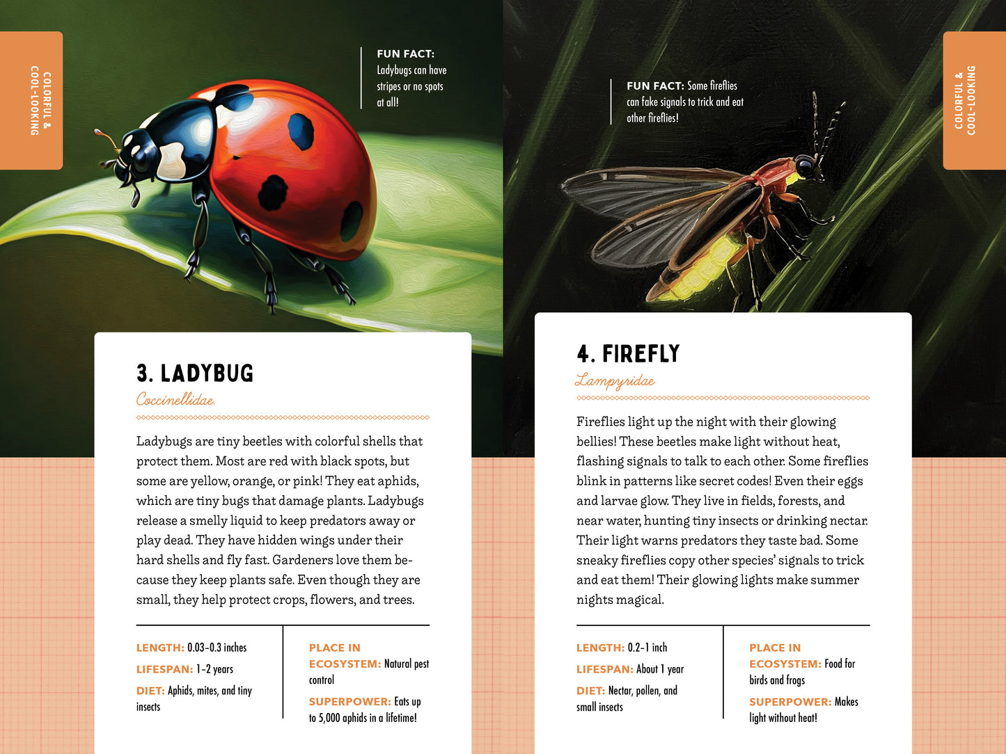 A Kid’s Guide to 50 Insects