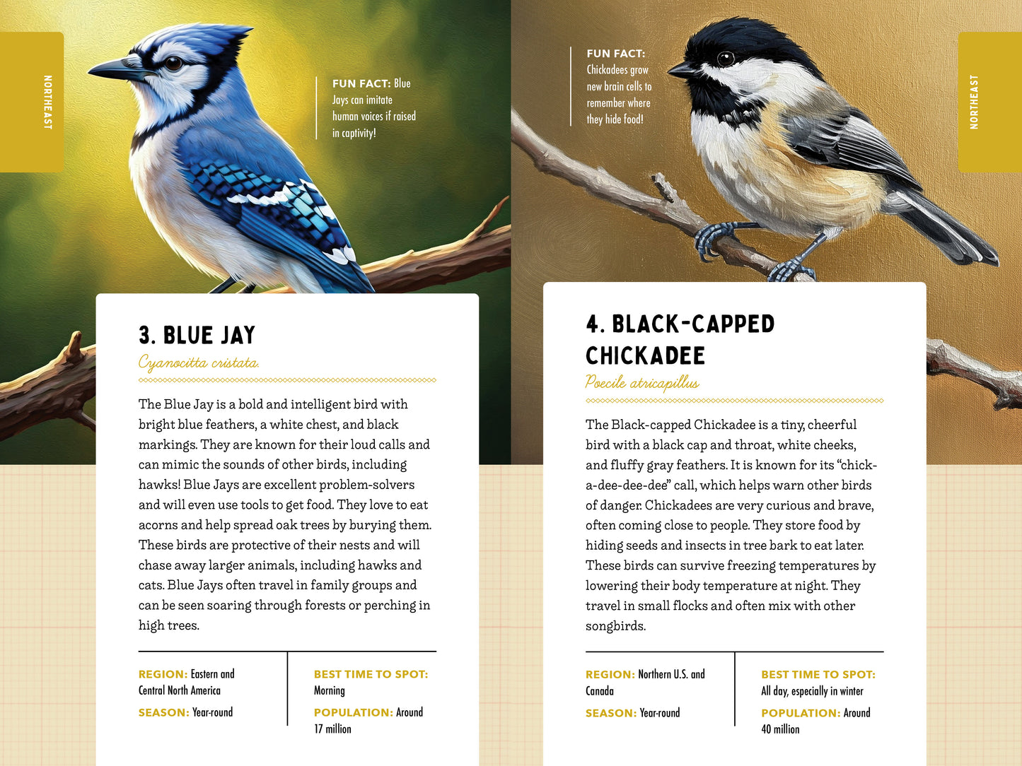 A Kid’s Guide to 50 Backyard Birds