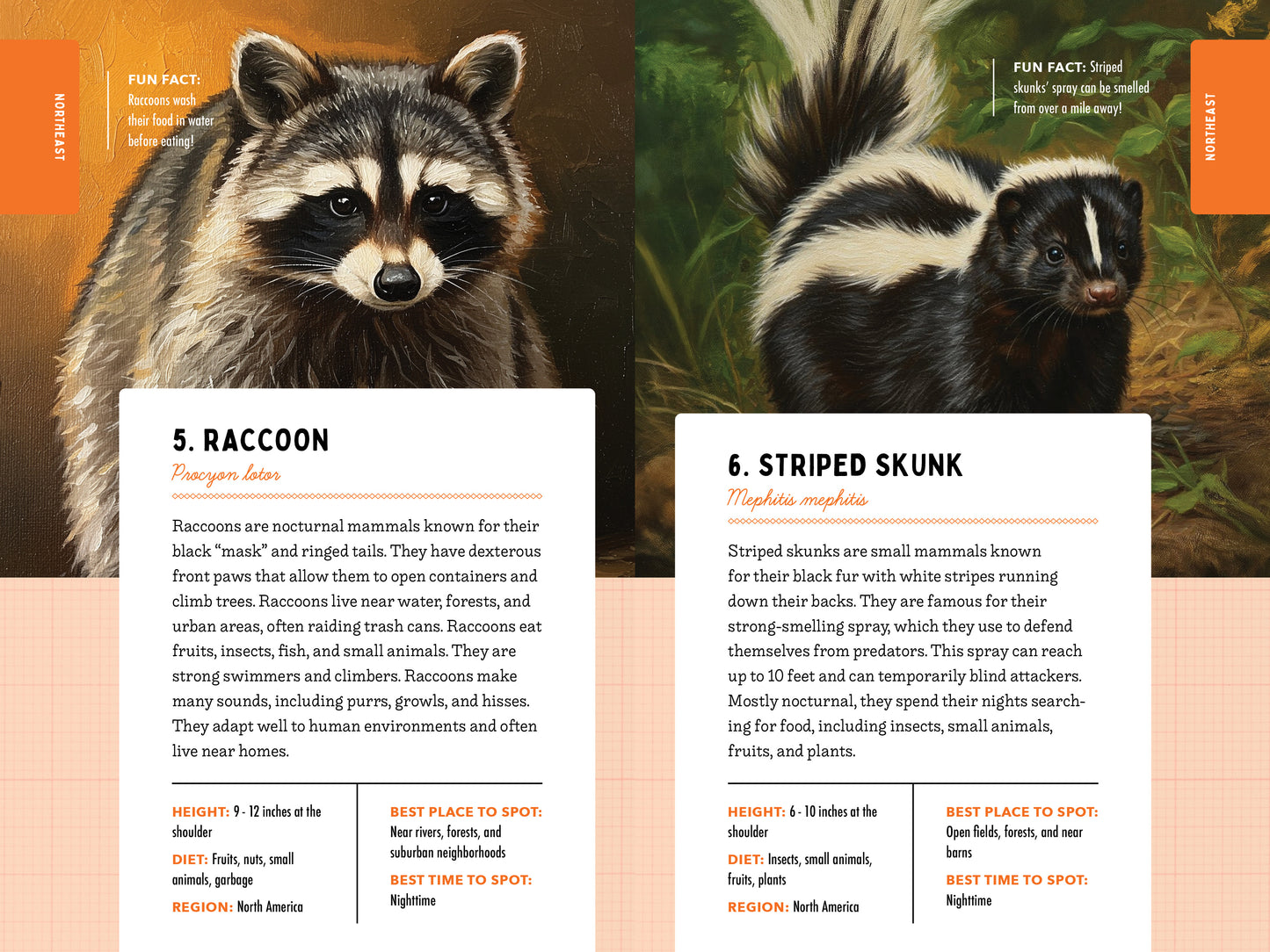 A Kid’s Guide to 50 Backyard Animals