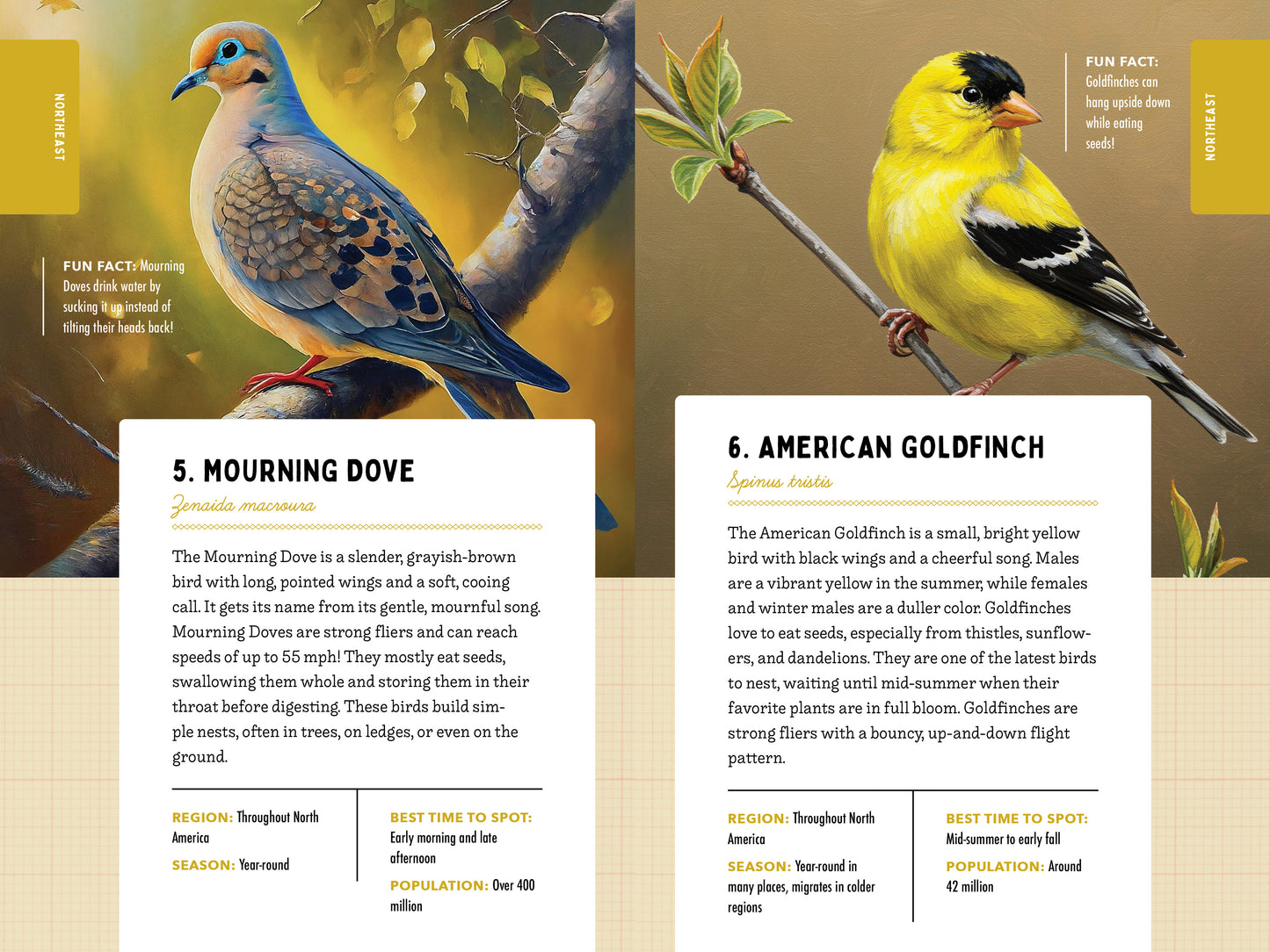A Kid’s Guide to 50 Backyard Birds