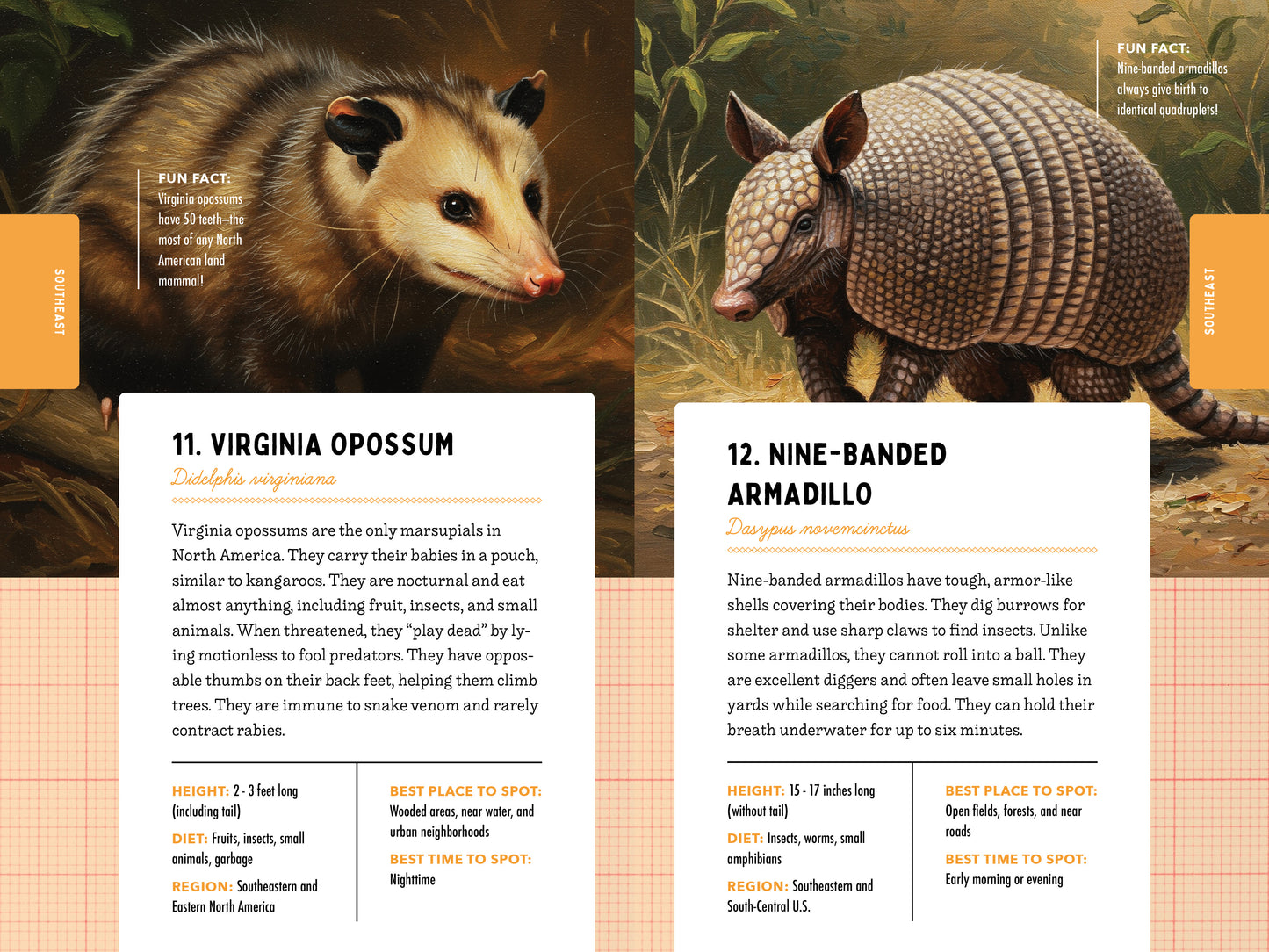 A Kid’s Guide to 50 Backyard Animals
