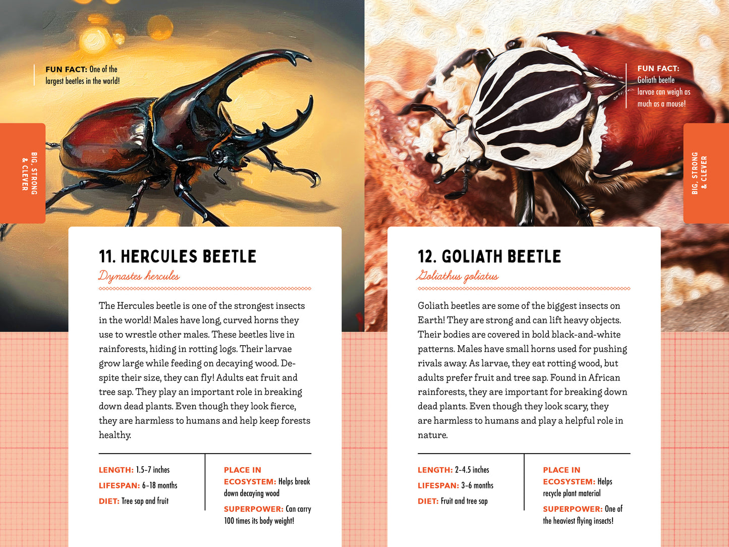 A Kid’s Guide to 50 Insects