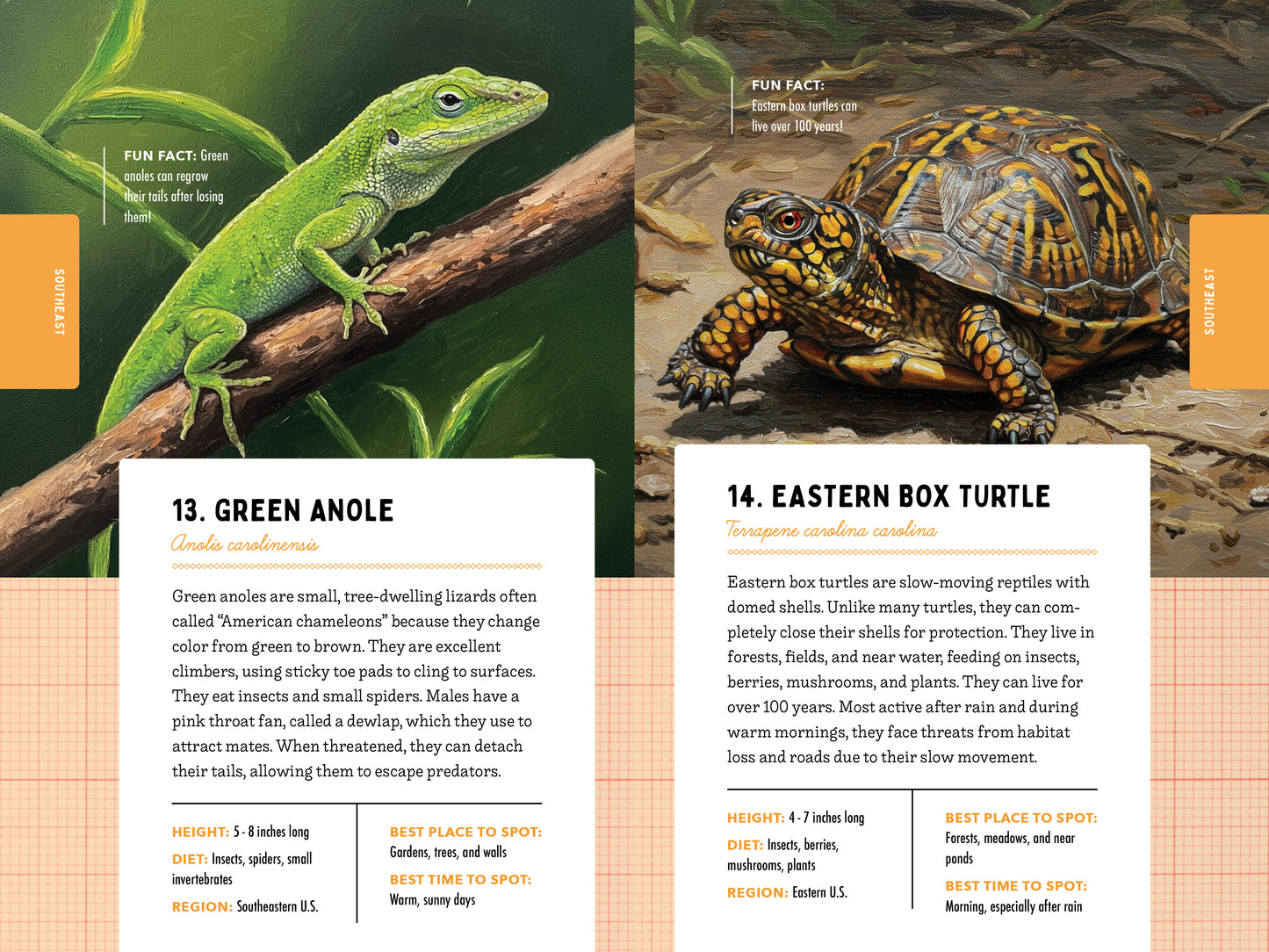 A Kid’s Guide to 50 Backyard Animals