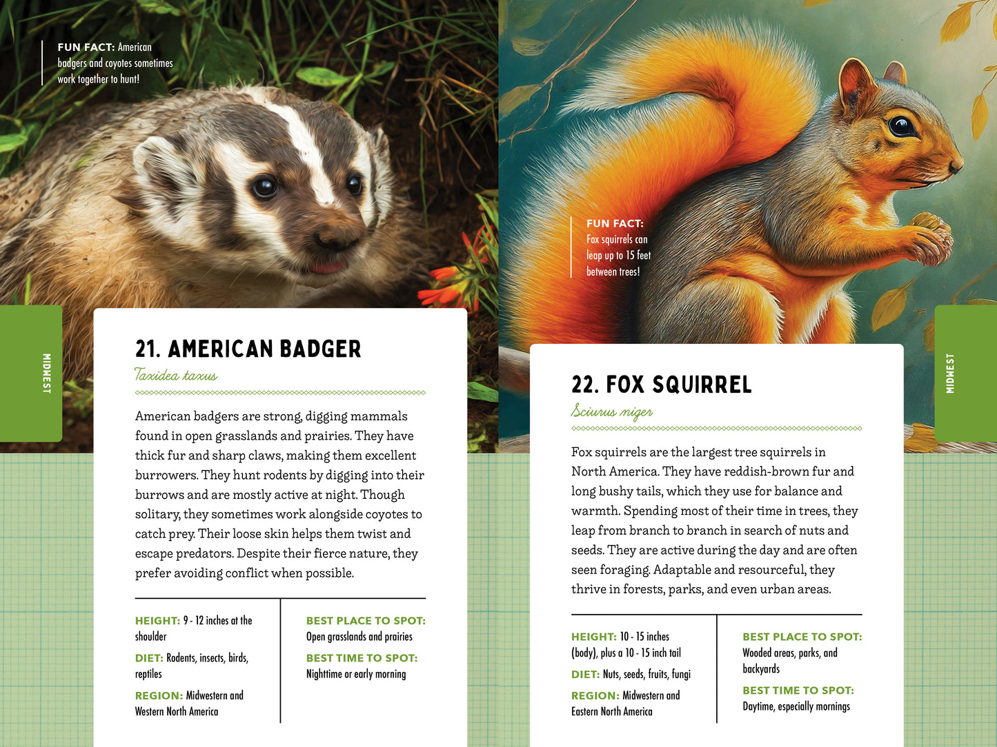 A Kid’s Guide to 50 Backyard Animals