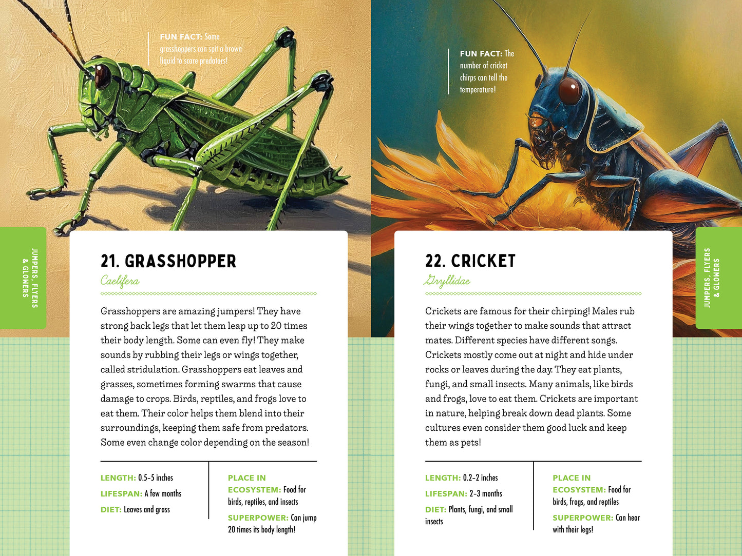 A Kid’s Guide to 50 Insects
