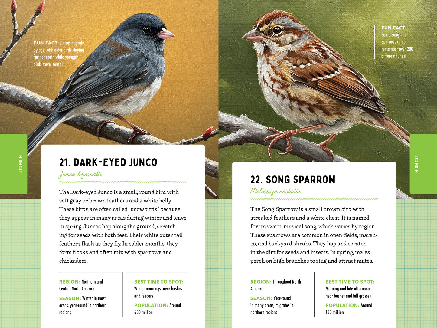 A Kid’s Guide to 50 Backyard Birds