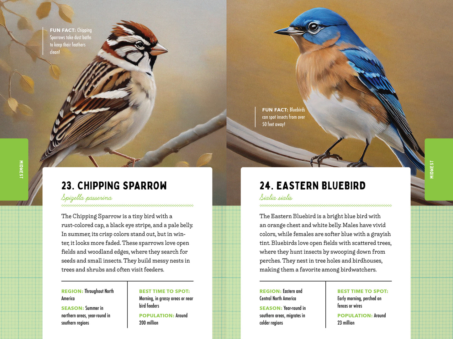 A Kid’s Guide to 50 Backyard Birds