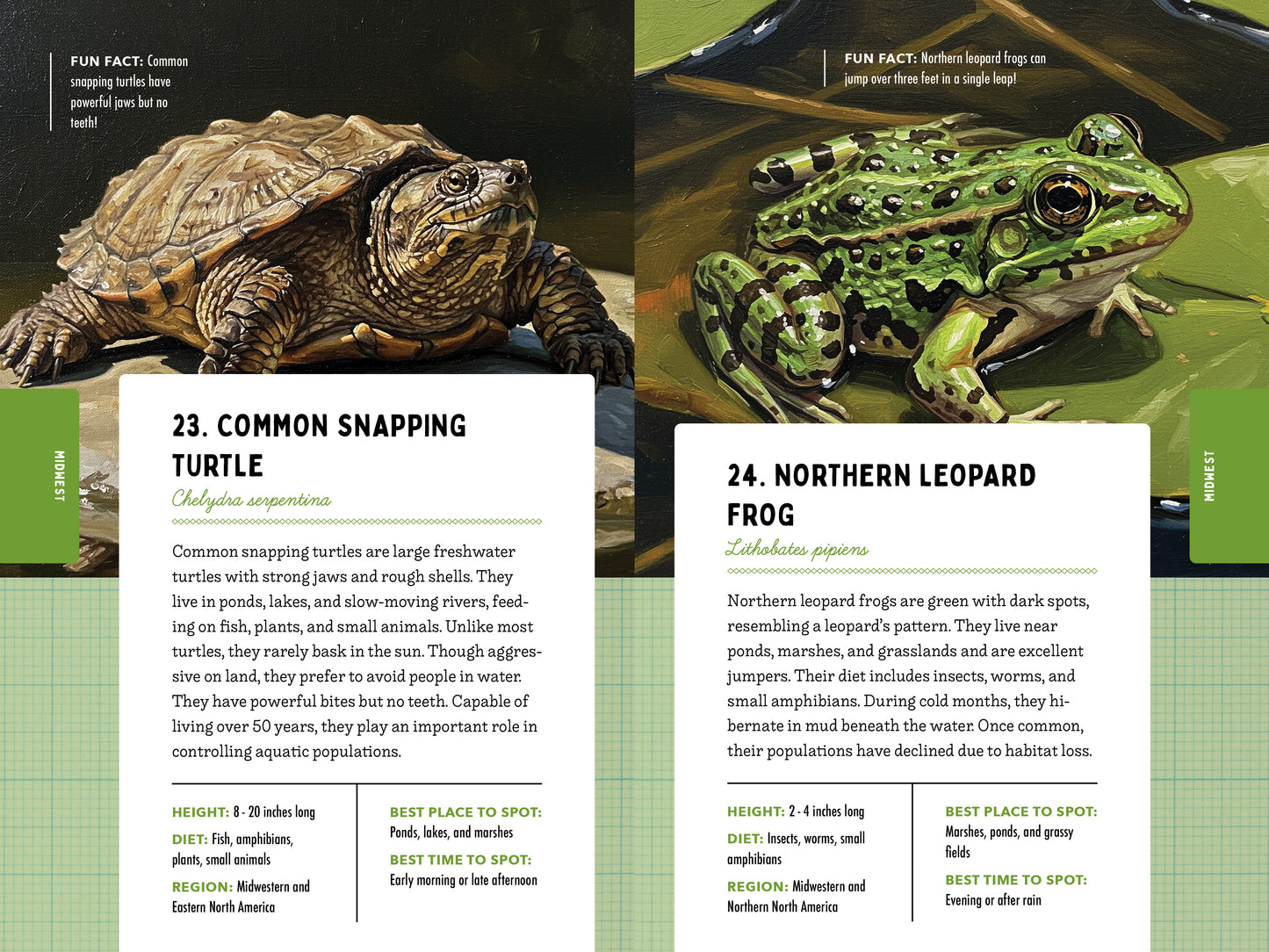 A Kid’s Guide to 50 Backyard Animals
