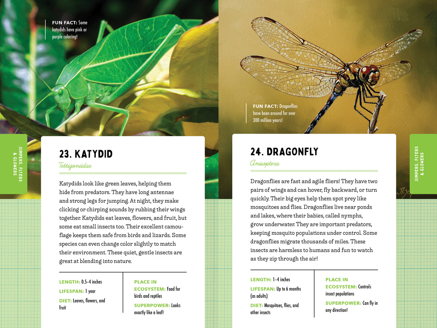 A Kid’s Guide to 50 Insects