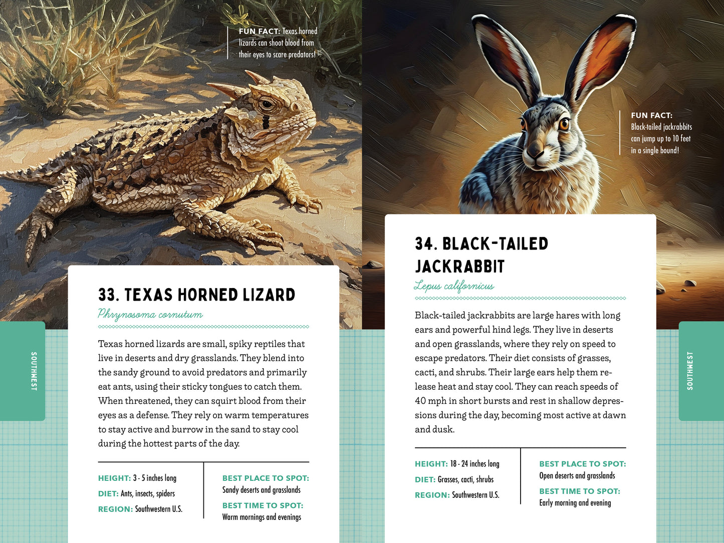 A Kid’s Guide to 50 Backyard Animals