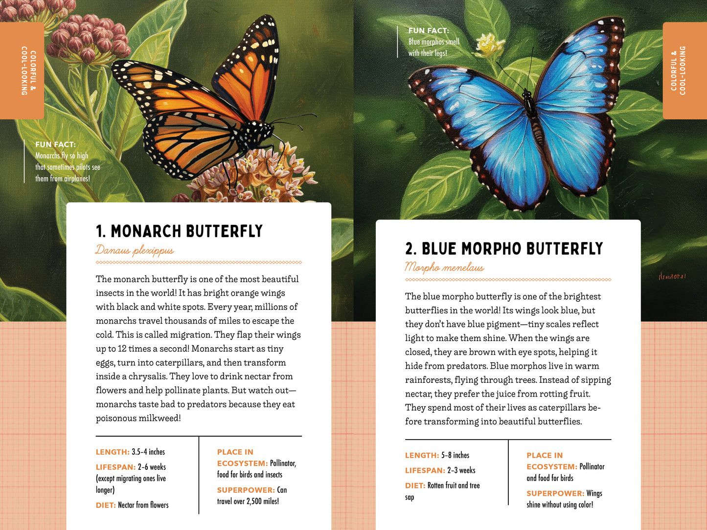 A Kid’s Guide to 50 Insects