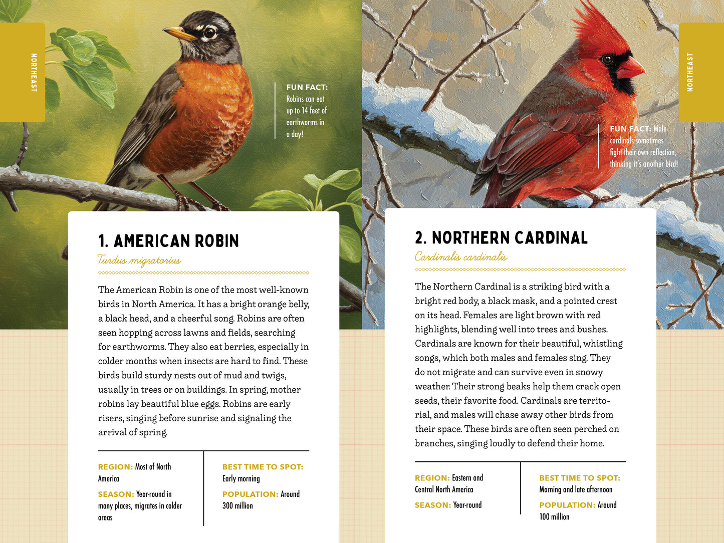 A Kid’s Guide to 50 Backyard Birds