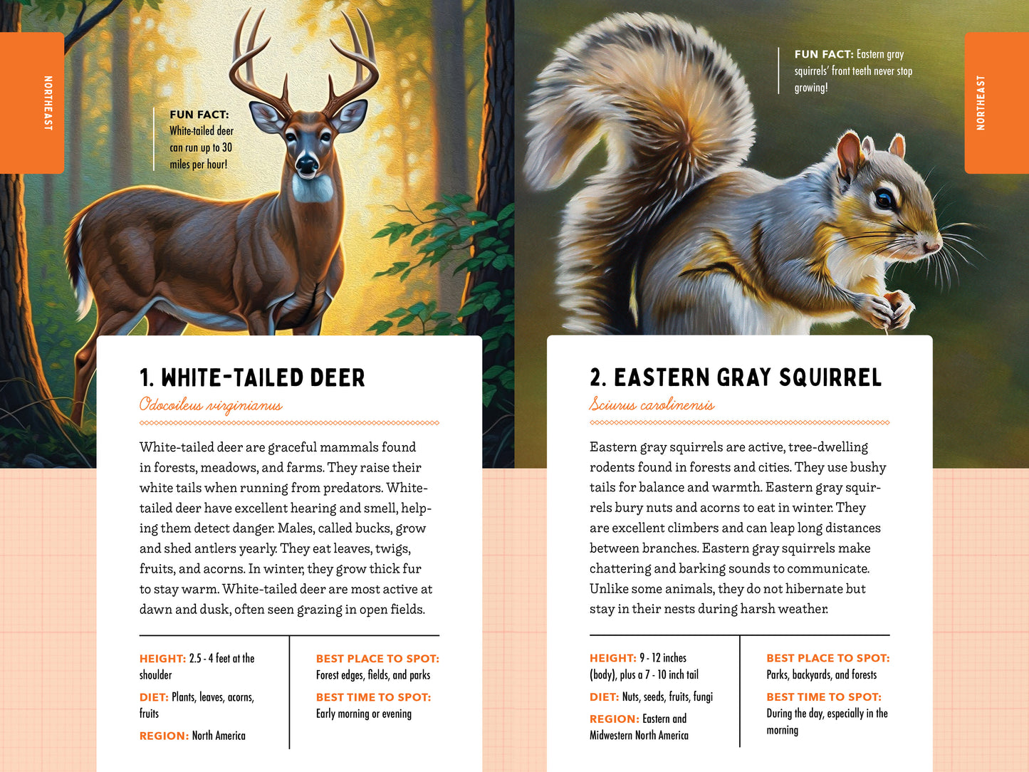 A Kid’s Guide to 50 Backyard Animals