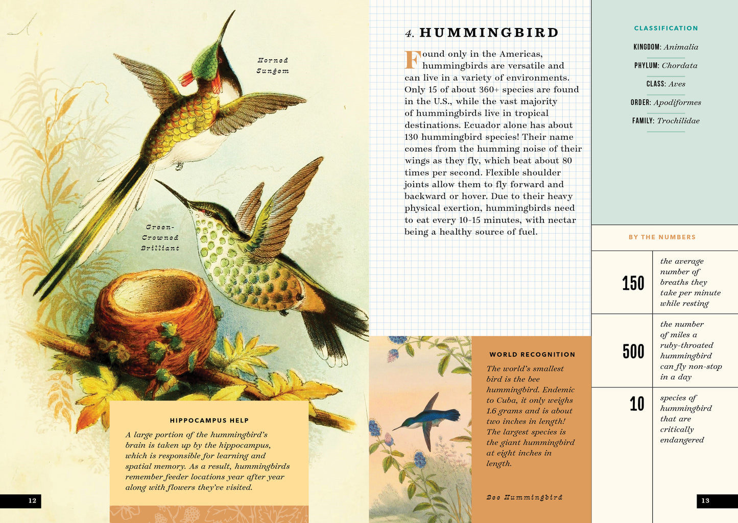 The Little Book of Birds of the World