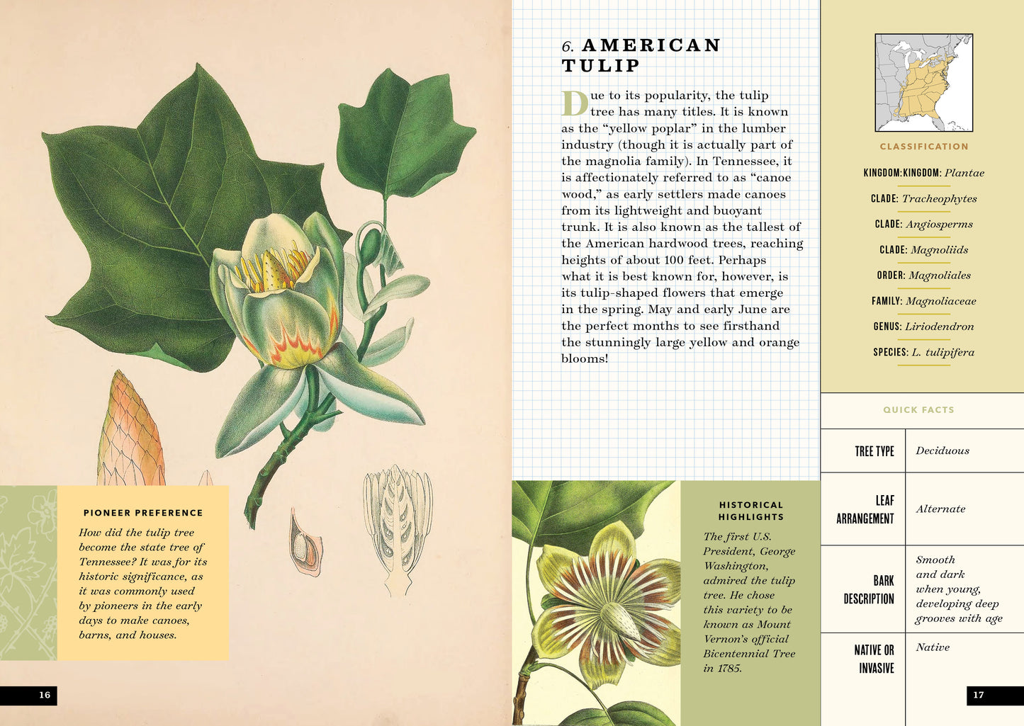 The Little Book of North American Trees