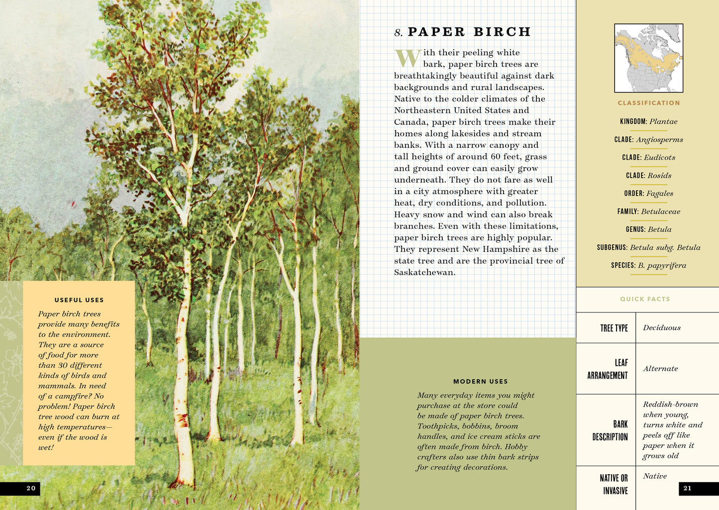 The Little Book of North American Trees