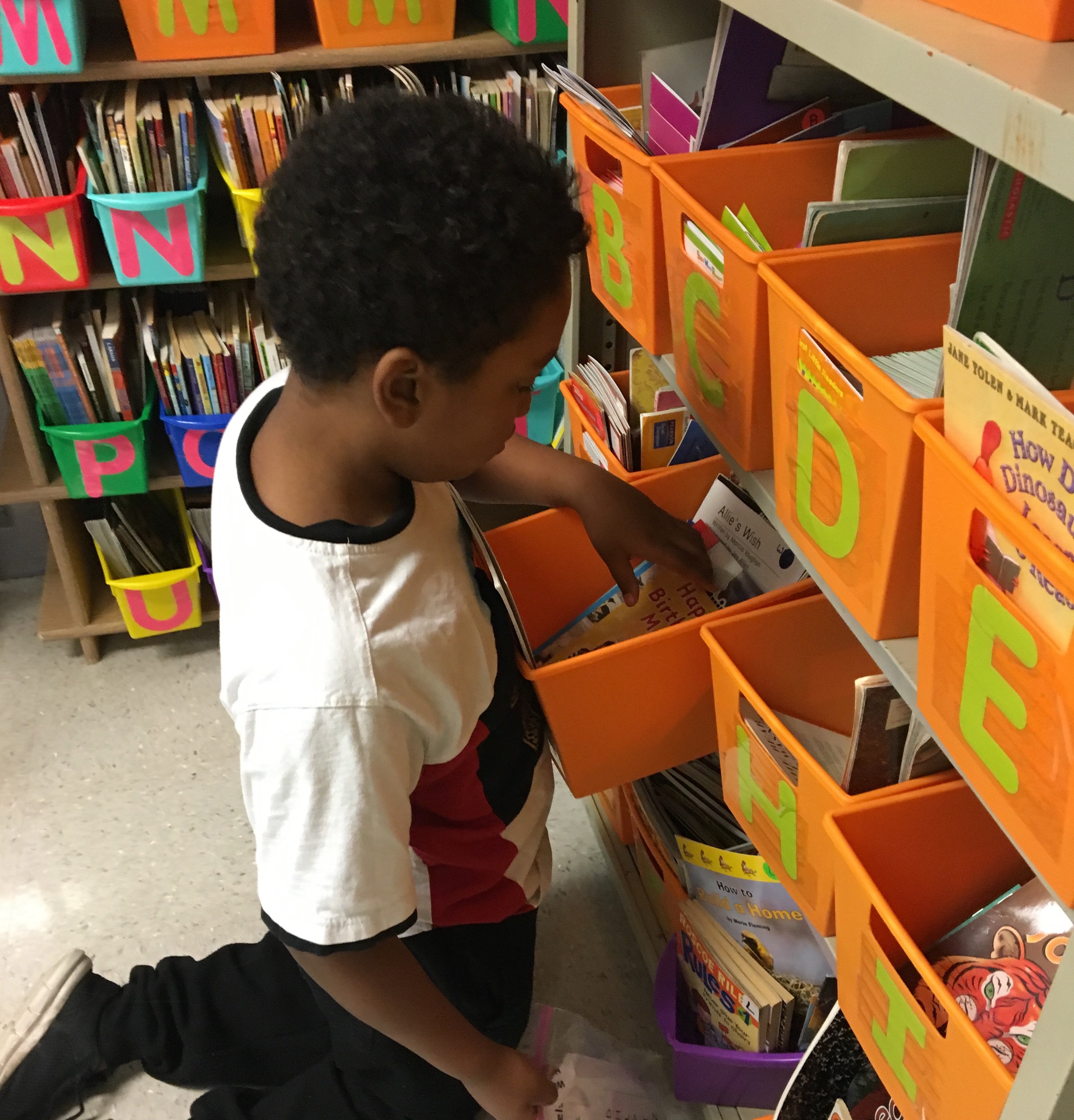 A lending library for Woodland Park Academy