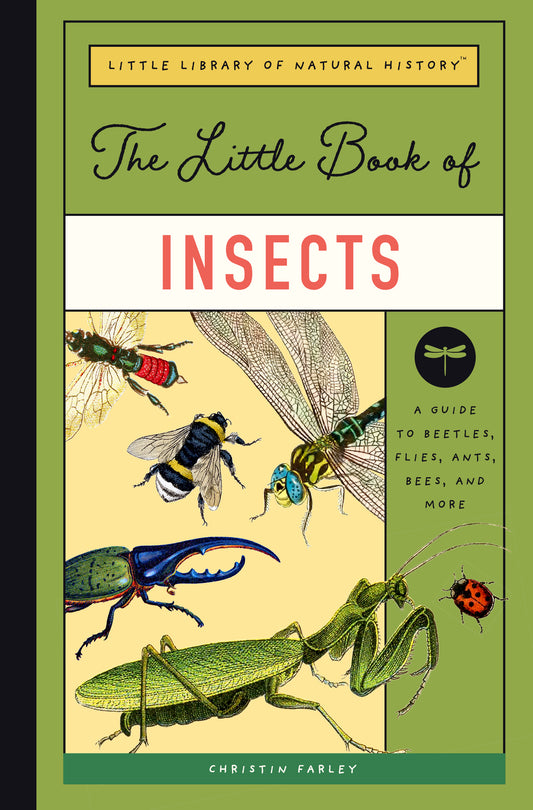 The Little Book of Insects