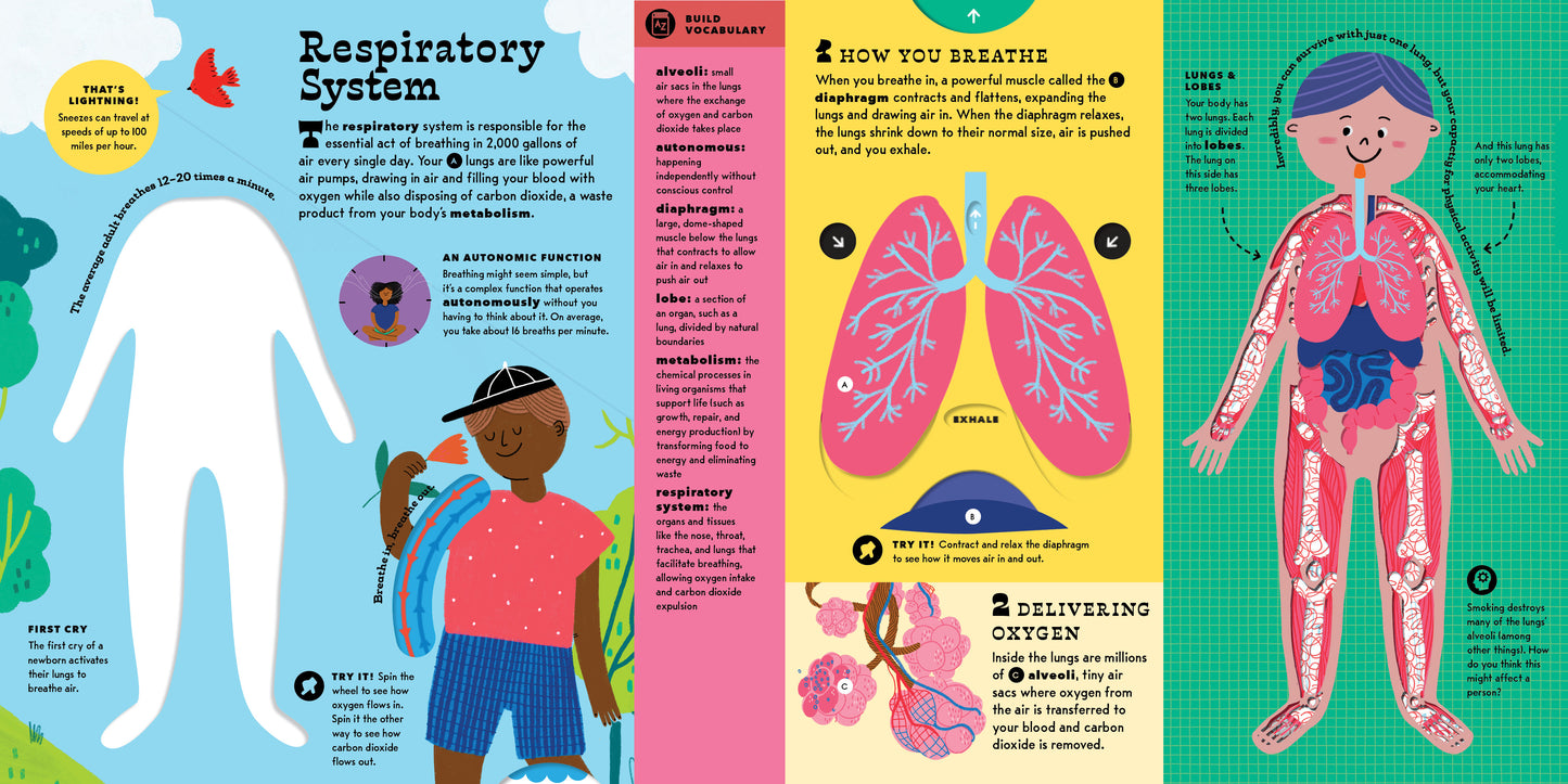 The Interactive Human Body