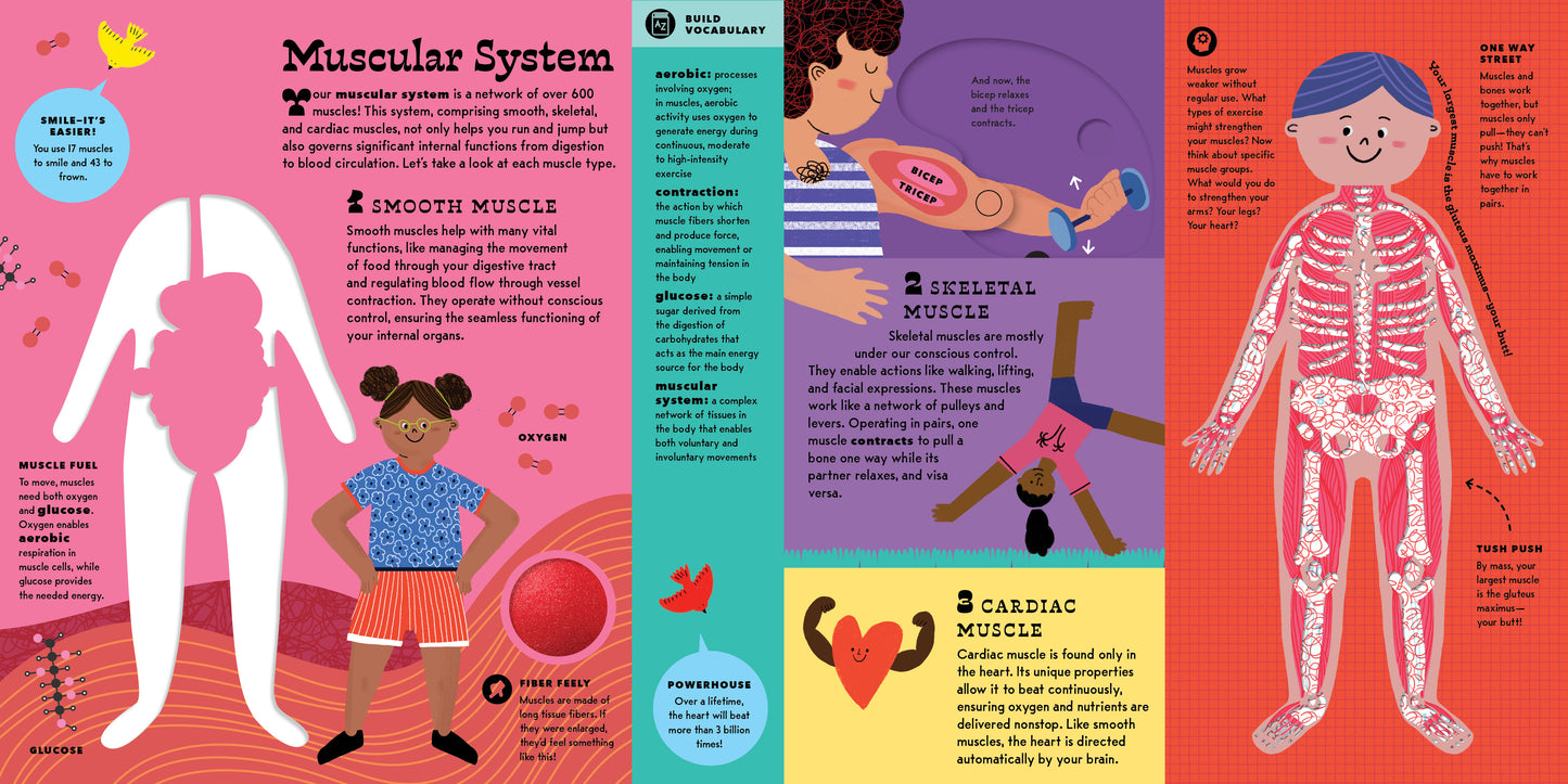 The Interactive Human Body