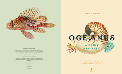 Oceanus:  An Illustrated Guide to Creatures of the Deep