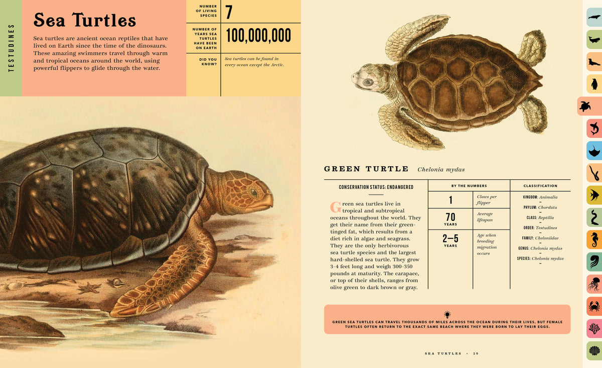 Oceanus:  An Illustrated Guide to Creatures of the Deep
