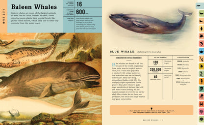 Oceanus:  An Illustrated Guide to Creatures of the Deep