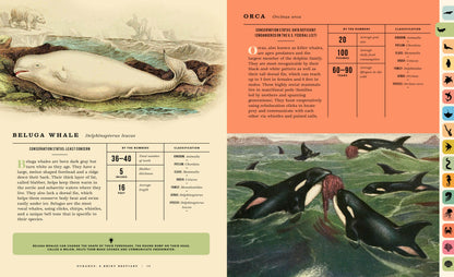 Oceanus:  An Illustrated Guide to Creatures of the Deep