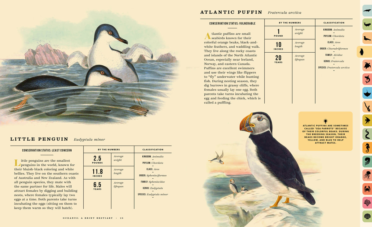 Oceanus:  An Illustrated Guide to Creatures of the Deep