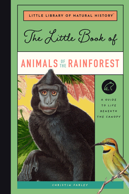 The Little Book of Animals of the Rainforest