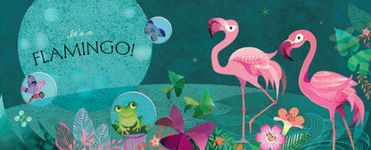 Birds: A Peek-a-Who Book